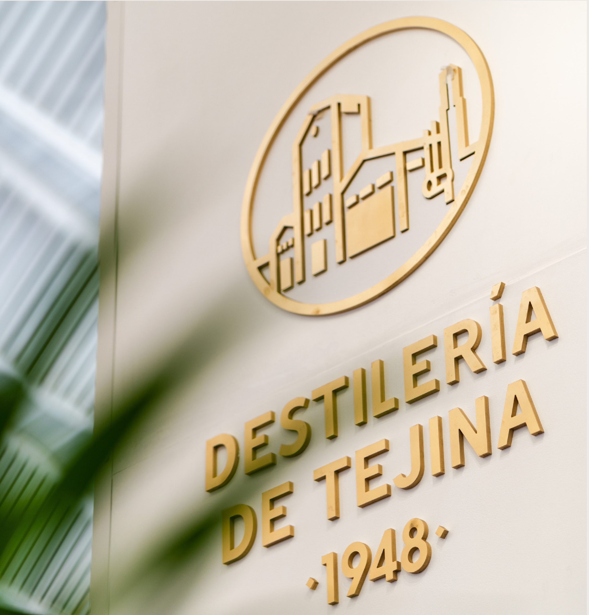 Destileria de Tejina